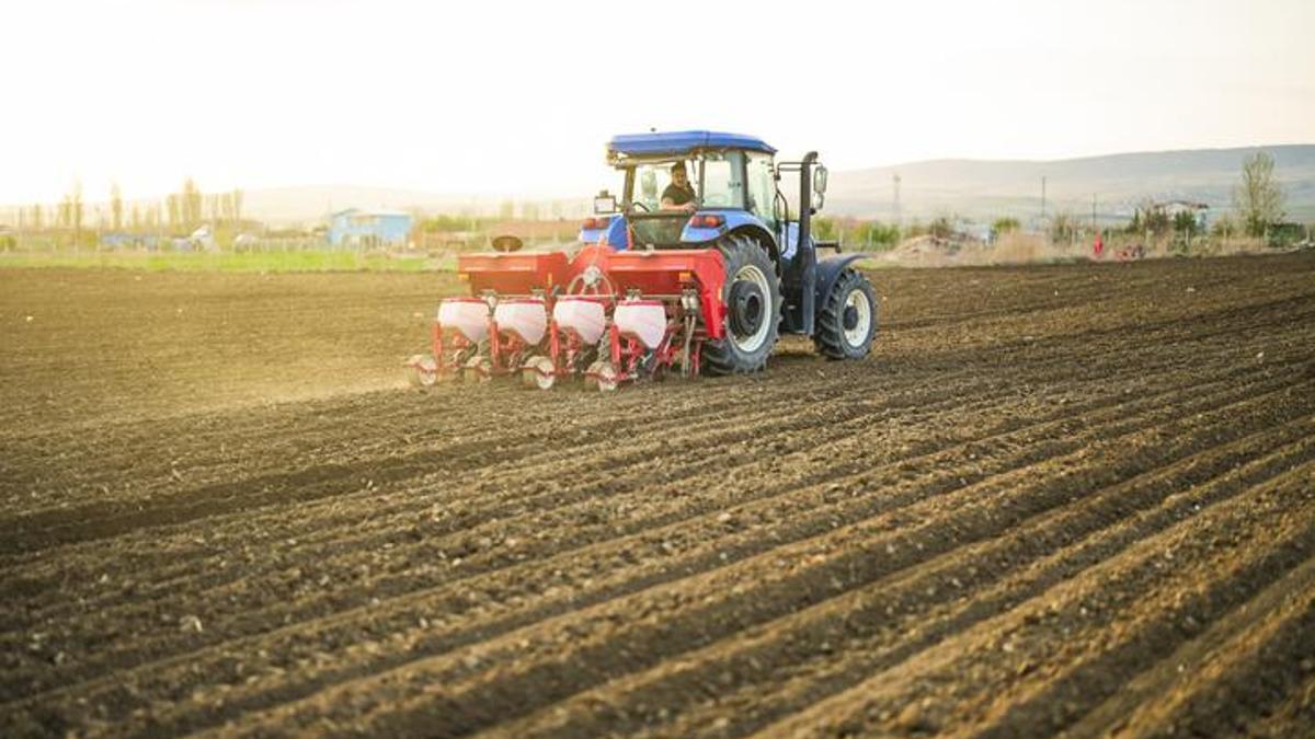 Tarımsal girdi fiyat endeksi şubatta yıllık bazda yüzde 31,55, aylık yüzde 3,1 arttı