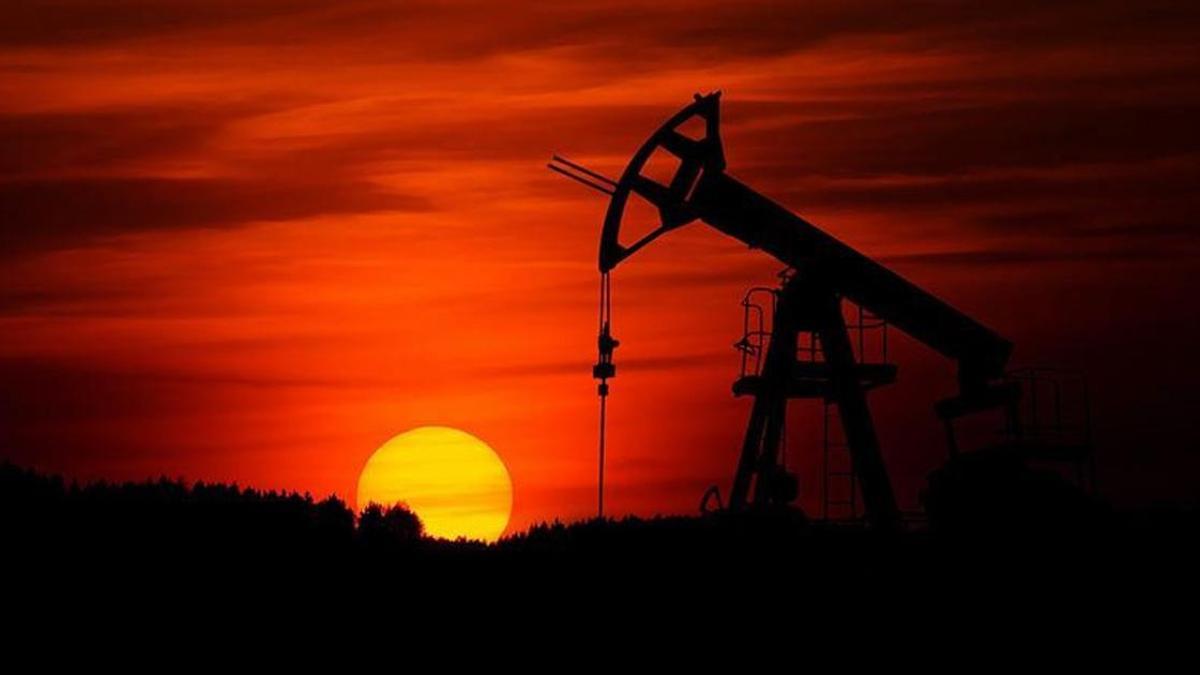 DMO'dan Körfez ülkelerine tehdit gibi sözler! 'Petrol üretimi ile vedalaşmanız gerekecek'