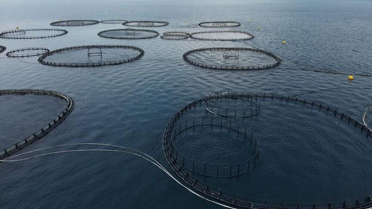 Muğla’dan dev ihracat hamlesi! 3 ayda 198 milyon dolar