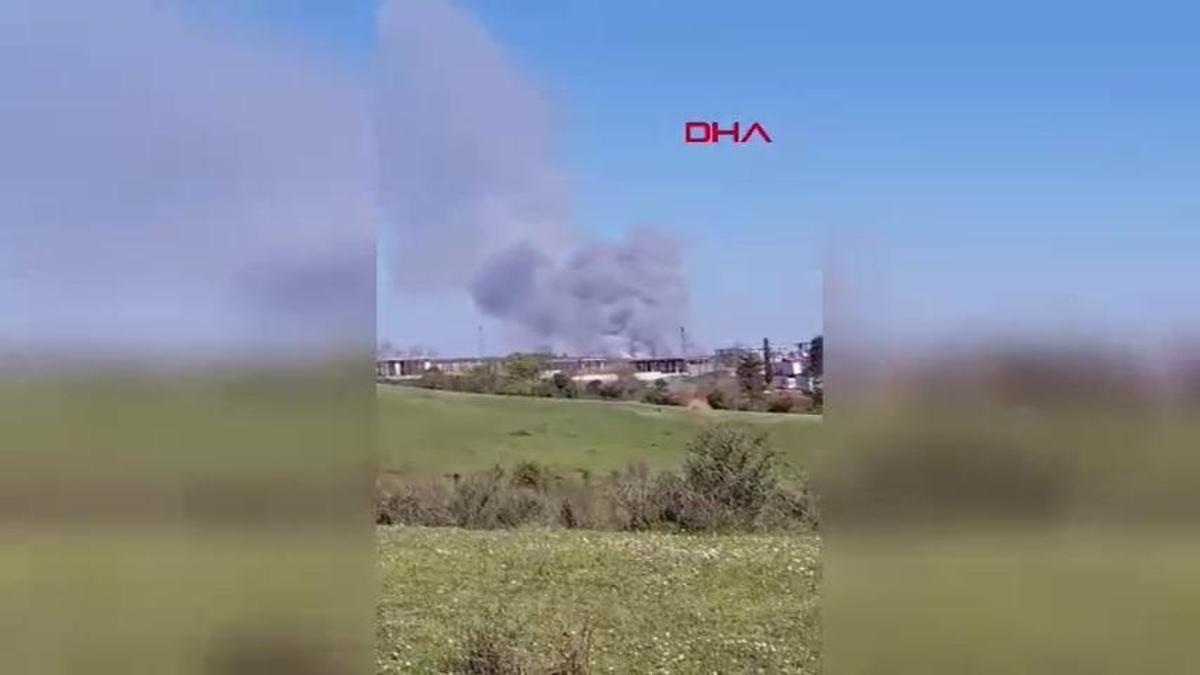 Beykoz'da orman yangını: Müdahale sürüyor