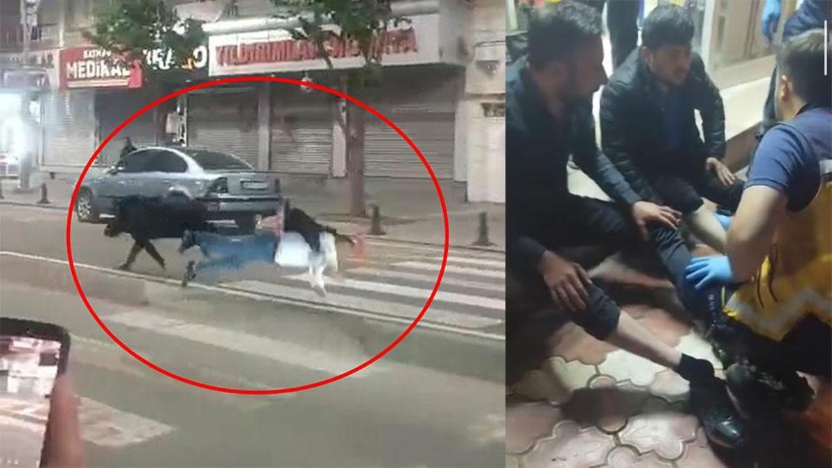 Batman merkeze inen yaban domuzu, 3 kişiyi yaraladı