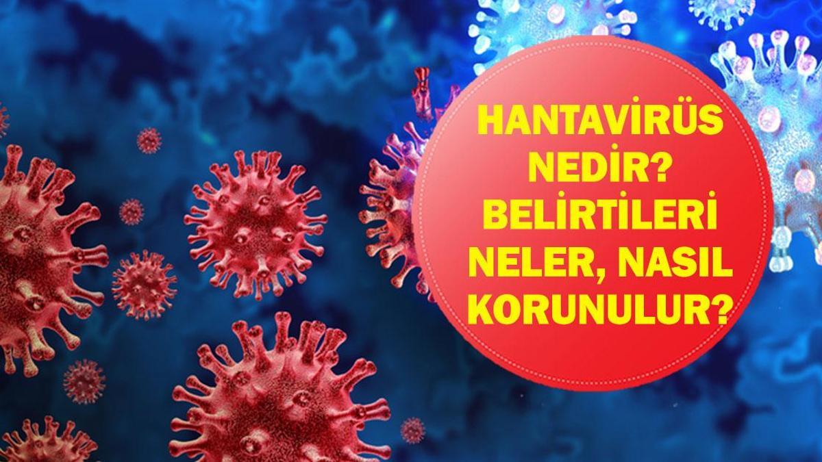 Hantavirüs Alarmı: Hantavirüs Nasıl Bulaşır? Erken Belirtiler Neler, Nasıl Korunulur? MV Hondius Gemisinde Şüpheli Salgın!