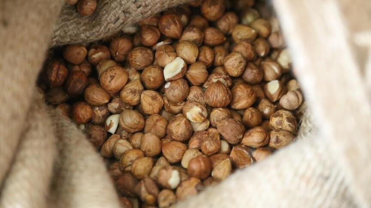 Türkiyenin fındık geliri 8 ayda 1,77 milyar doları geçti