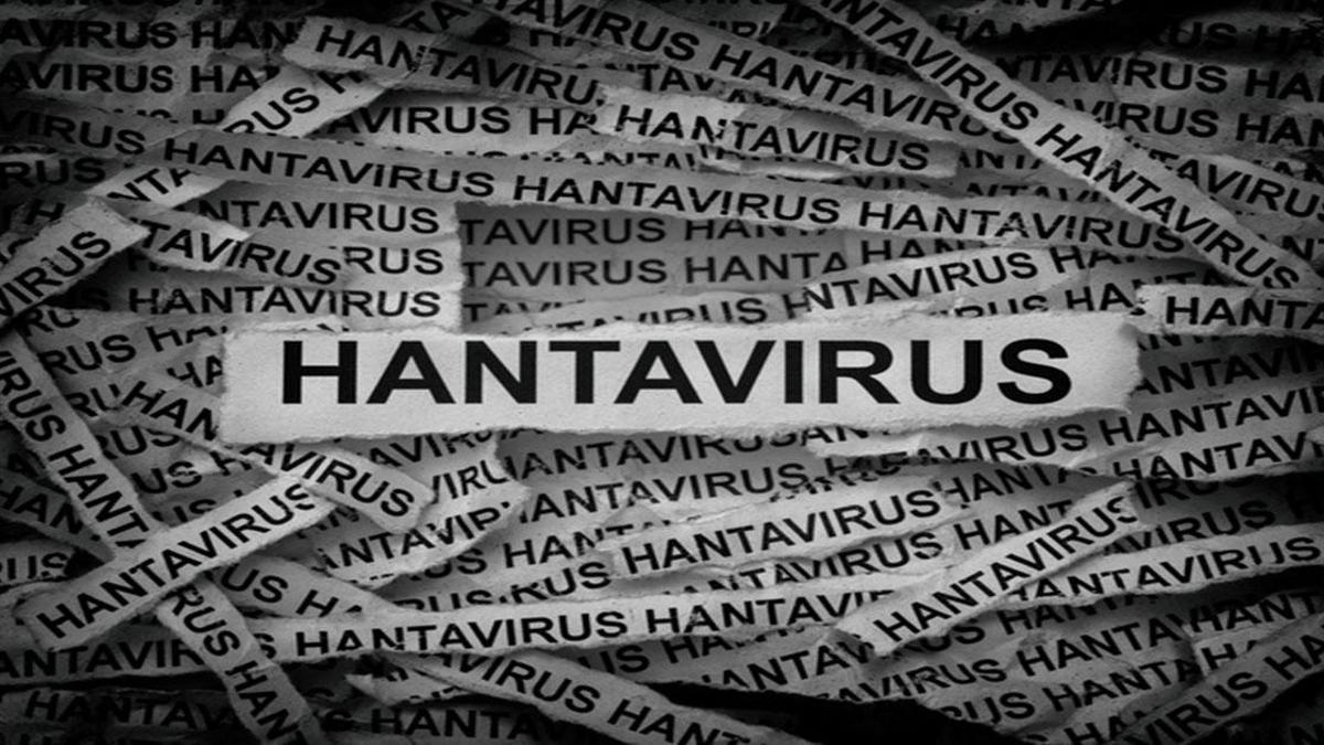 HANTAVİRÜS NEDİR, NASIL BULAŞIR? Hantavirüs Belirtileri Neler? Hantavirüs İnsandan İnsana Bulaşır Mı? Dünya Sağlık Örgütü Ne Diyor?