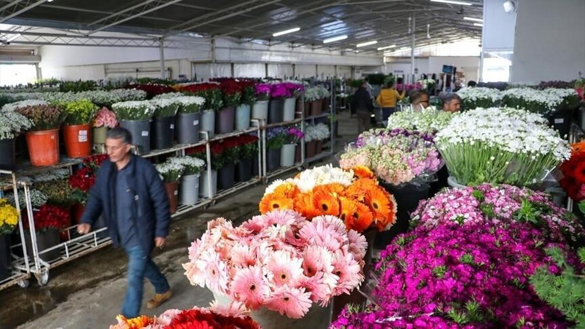 Anneler Günü öncesi İzmirden Türkiye Geneline 8 Milyon Dal Çiçek Gönderildi