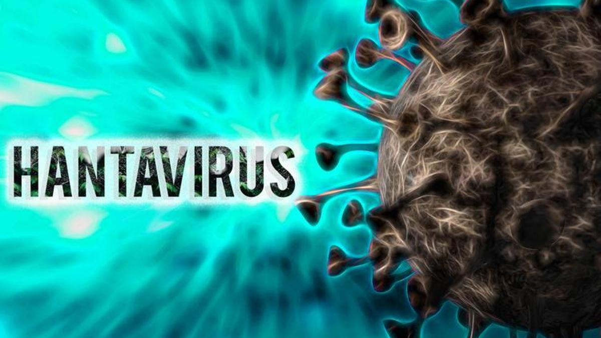 SAĞLIK BAKANLIĞI AÇIKLADI! Hantavirüs Nasıl Bulaşır, Belirtileri Neler? Hantavirüs Bulaşma ve Yayılma Yolları