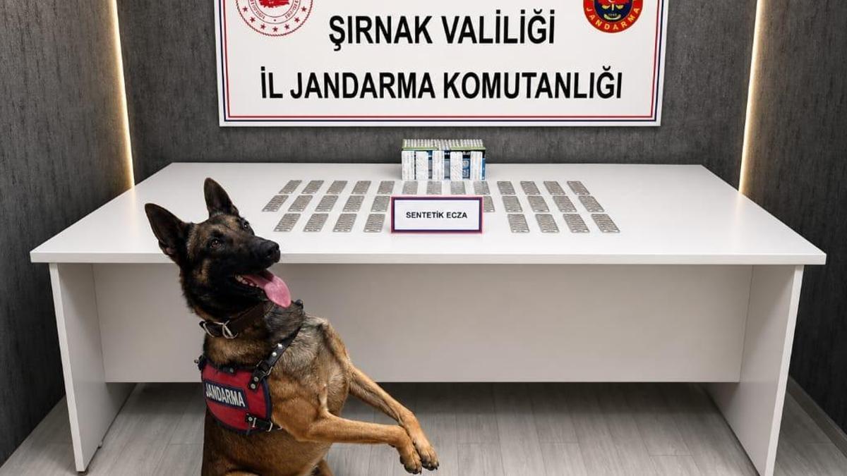 Şırnakta 1 haftada kaçakçılık ve narkotik operasyonlarında 145 gözaltı