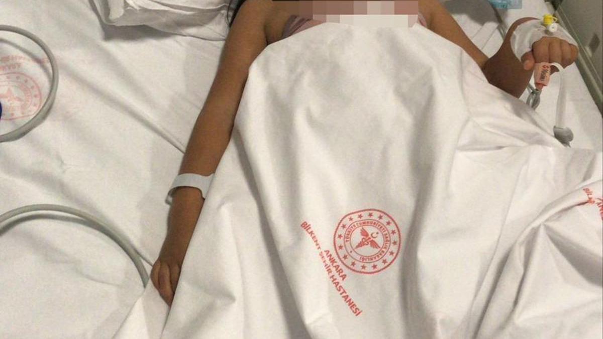 Ankara'da 2 kardeşe saldırıp yaralayan pitbullun sahibi tahliye edildi