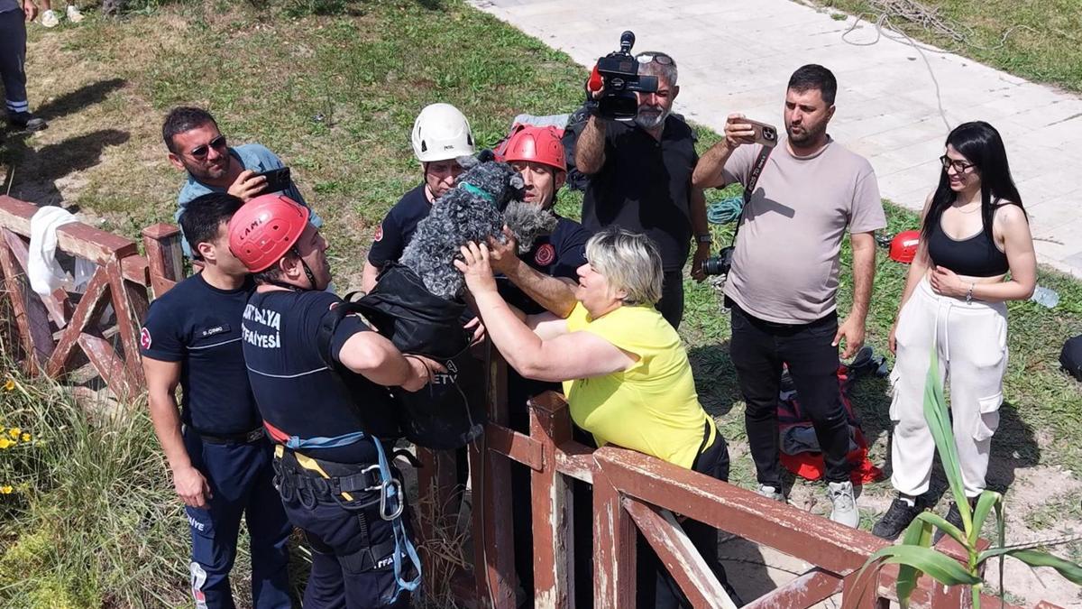 Kedi kovalarken falezlerden düşen köpek, dronla tespit edilip kurtarıldı