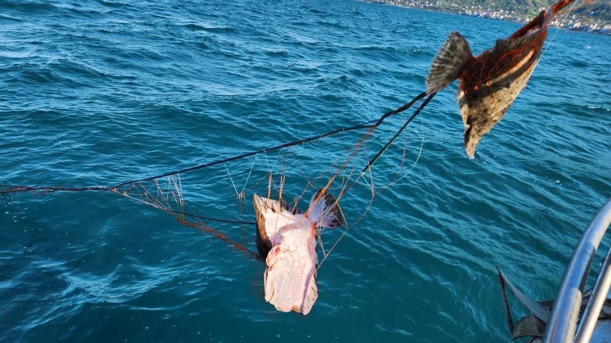 Kalkan av yasağı denetimlerinde 3 bin metre ağa el konuldu