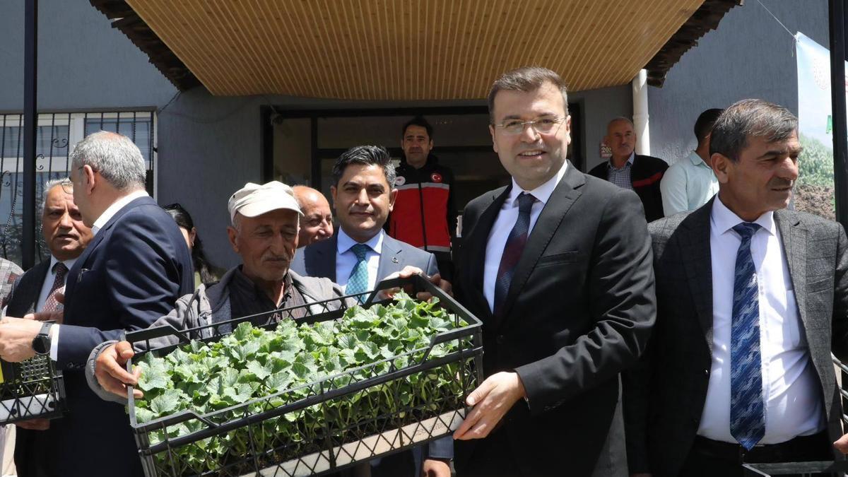 Ata tohum fideleri toprakla buluşuyor