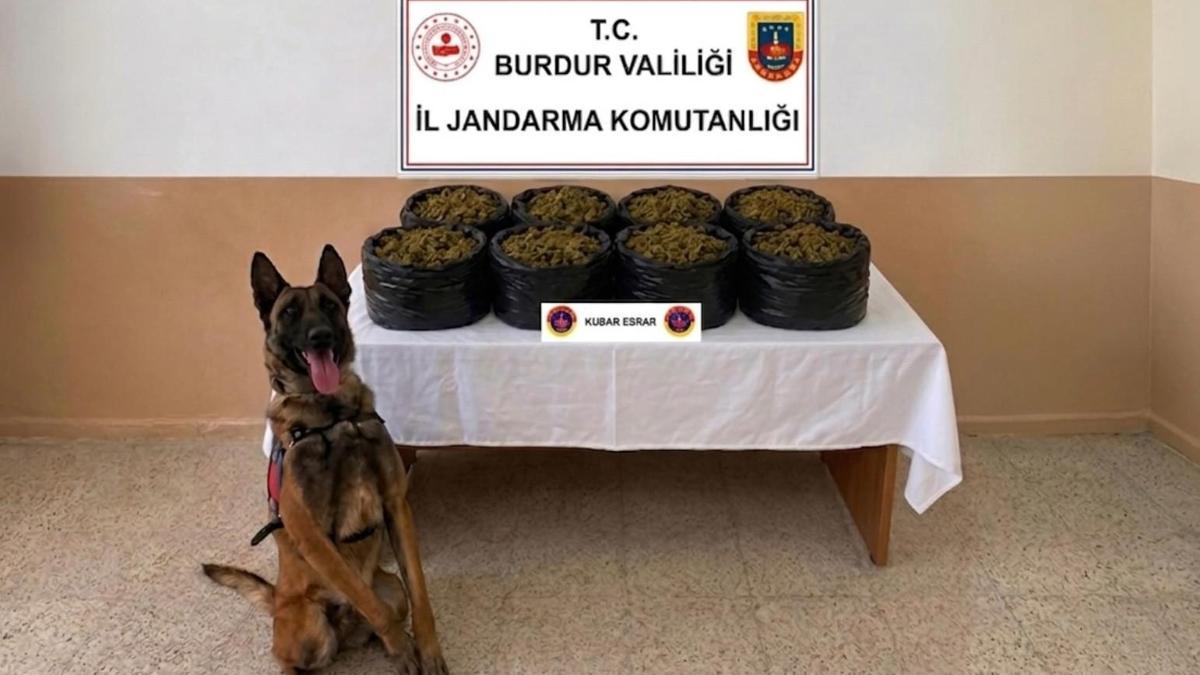 Jandarmadan uyuşturucu operasyonu