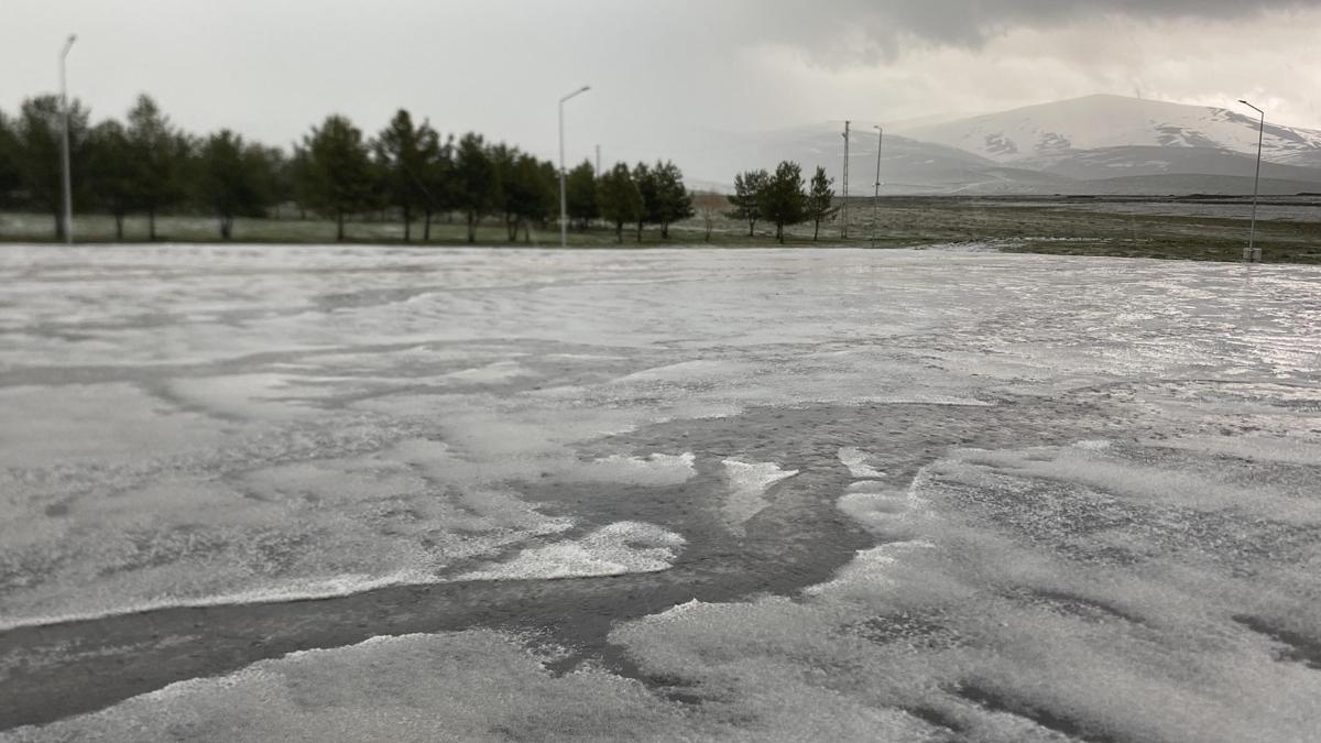 Ardahan'da dolu yağışı etkili oldu