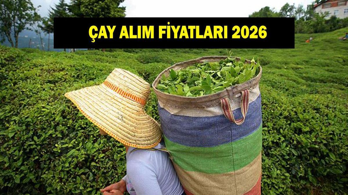 ÇAY ALIM FİYATLARI 2026: Yaş çay alım fiyatı ne kadar oldu? Bakanlık açıkladı