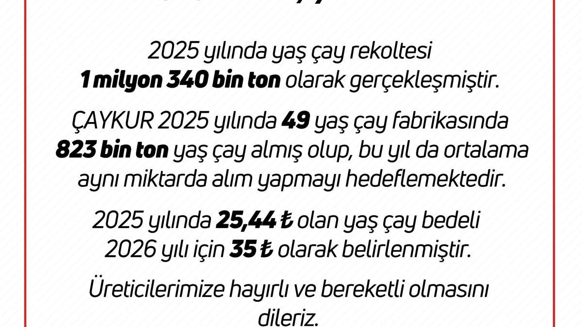 Yaş çay alım bedeli 35 TL olarak belirlendi