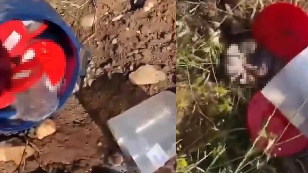 KAN DONDURAN İDDİA! Şanlıurfa’da mezarlıkta varil içerisinde çok sayıda cenin bulundu