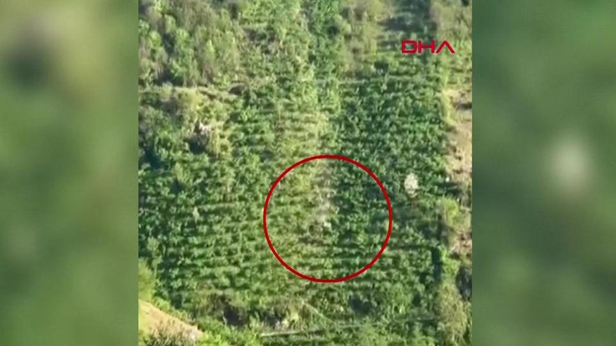 Kamyonet yamaçtan böyle yuvarlandı