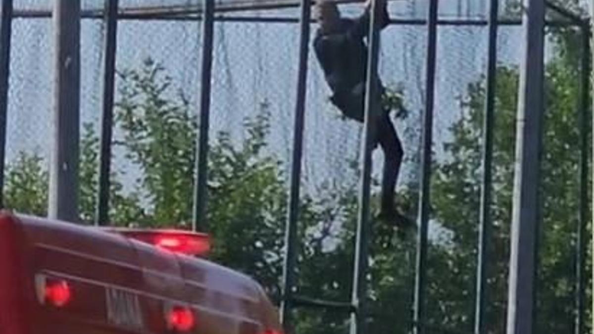 Fileye takılan kargayı itfaiye kurtardı