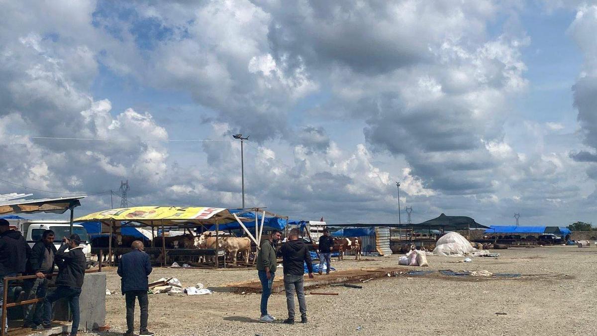 Çerkezköy'de hayvan pazarında taşlı-sopalı kavga; 2 yaralı