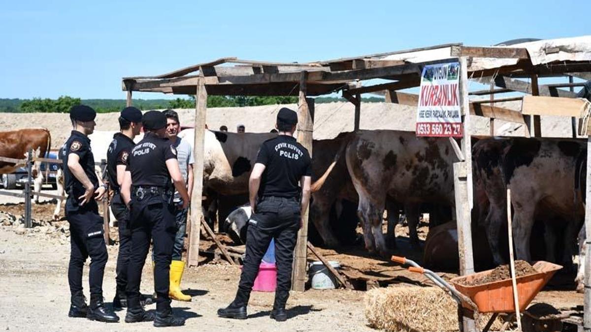 Kurban pazarında kavga: 5 yaralı