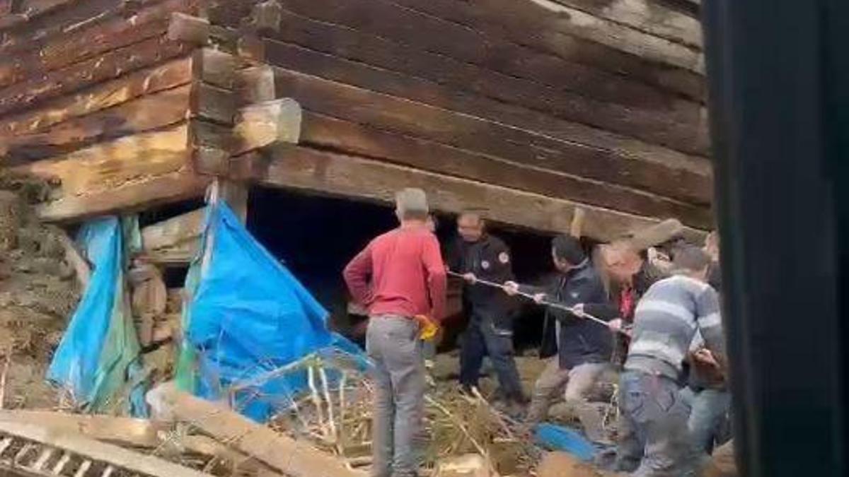 Kastamonu'da ağıl çöktü: 1 ölü