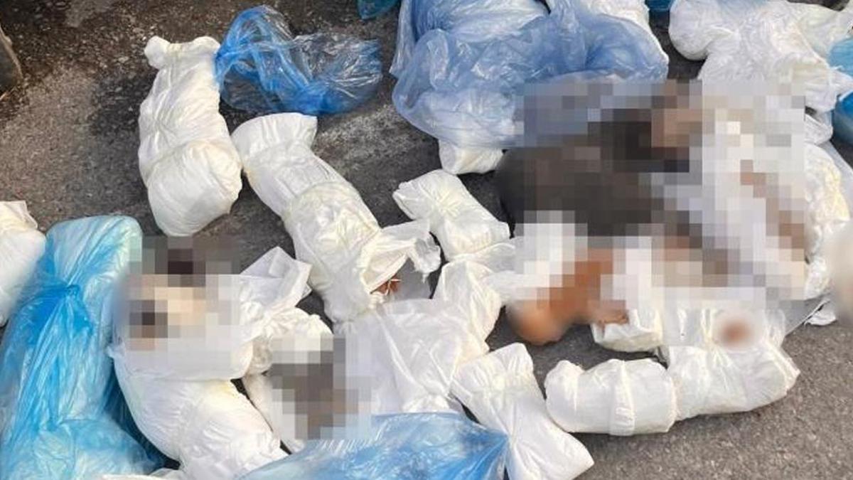 ’33 ölü kedi’ vahşetinde yeni gelişme! Yeniden gözaltına alındı