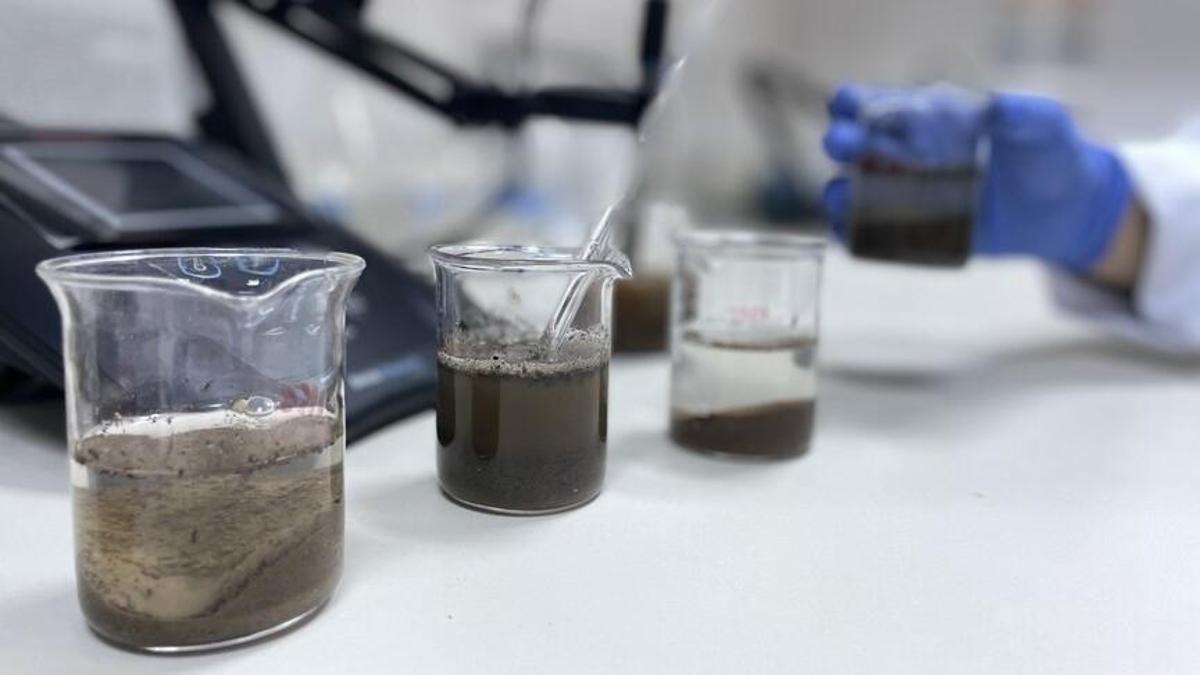 Toprak analizi yaptıran çiftçinin kazancı artıyor