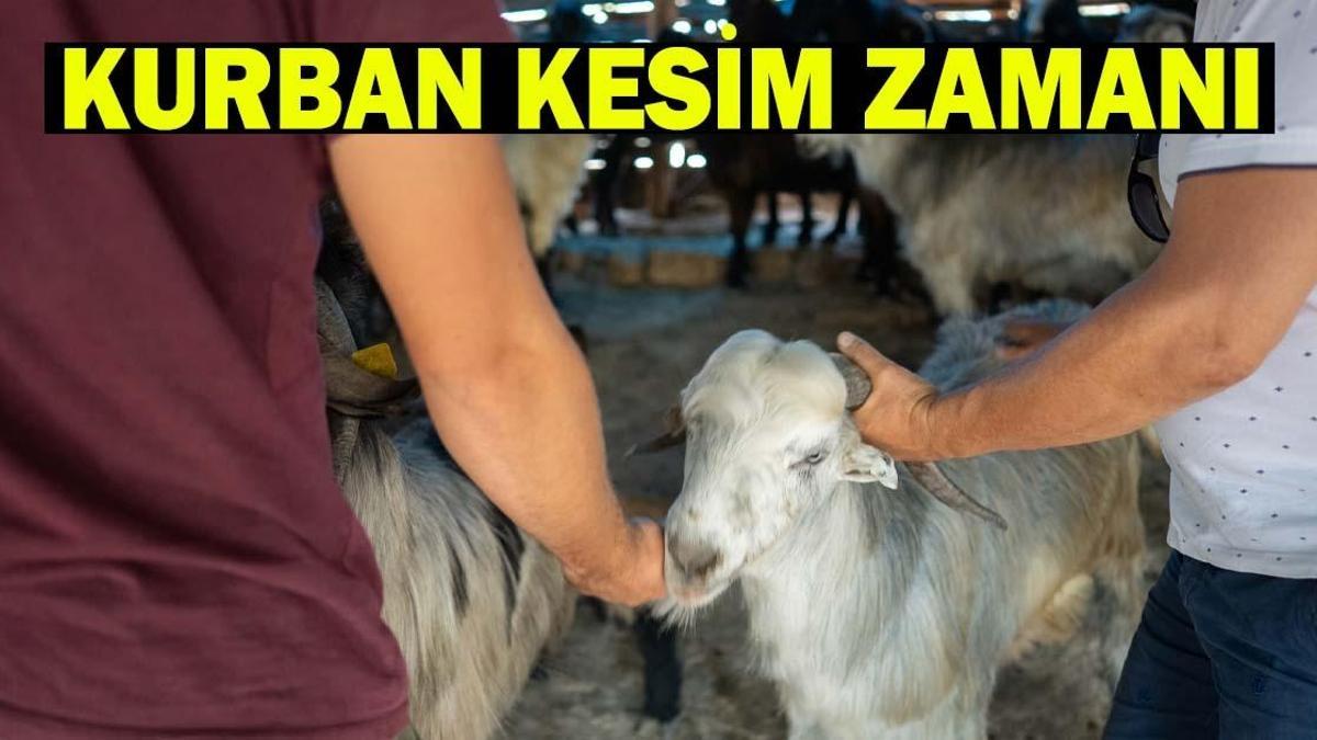 KURBAN KESİM VAKTİ NE ZAMAN BİTER? Diyanet Bilgisine göre son kurban kesim zamanı