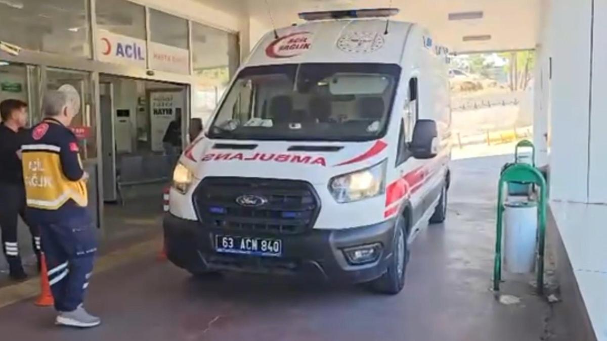 Bahçesinde gördüğü yılanı vurmak isterken 5 kişiyi yaraladı