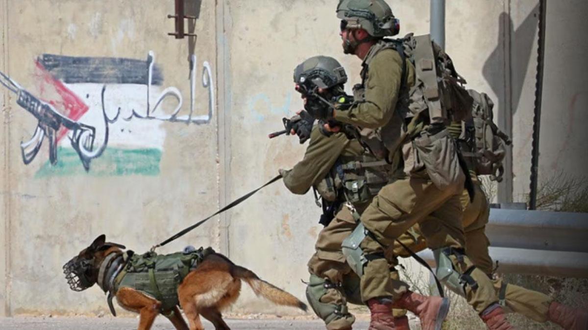 Demir Kubbe Fiyaskosu! İsrail'de Artık Köpek Timleri Devrede