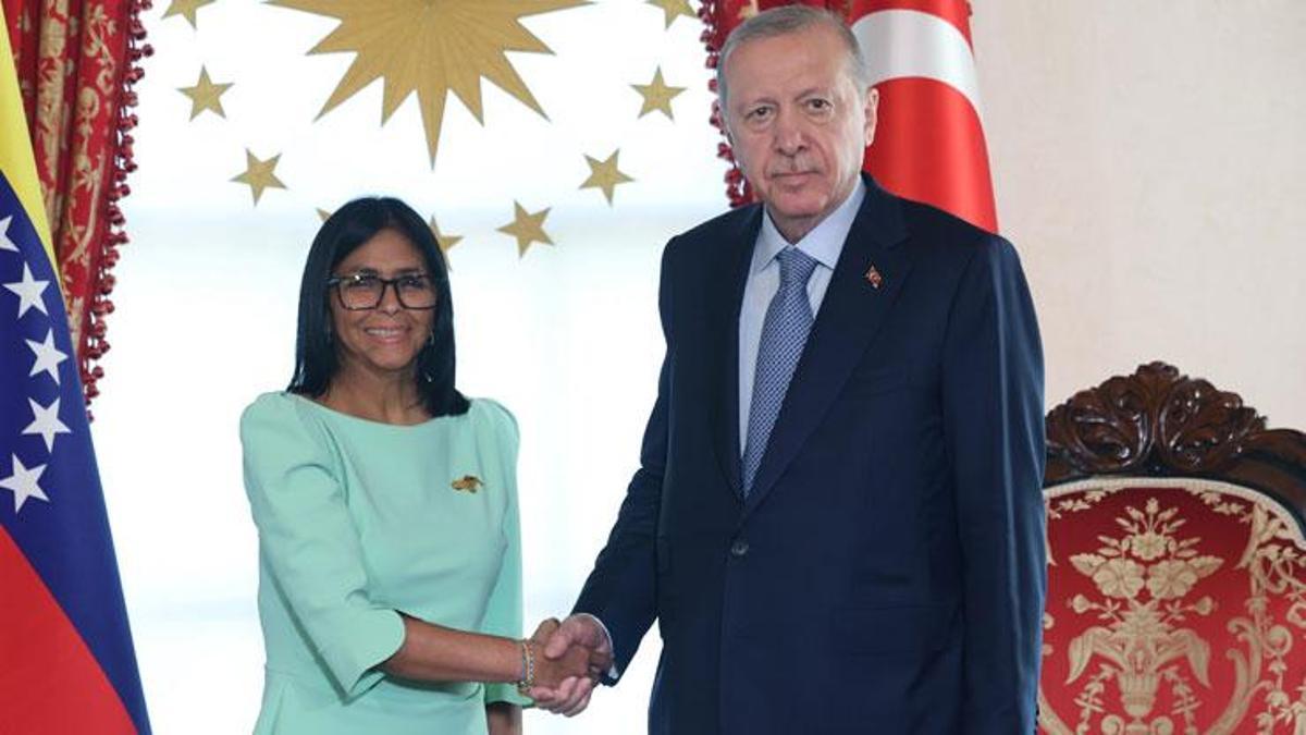 Cumhurbaşkanı Erdoğan, Venezuela Cumhurbaşkanı Vek