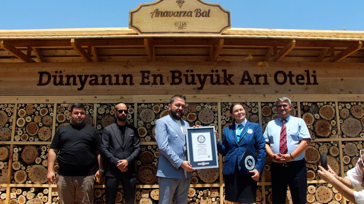 Adana'da hayata geçirilen 'arı oteli'  dünyanın en büyüğü; Guinness tescil etti