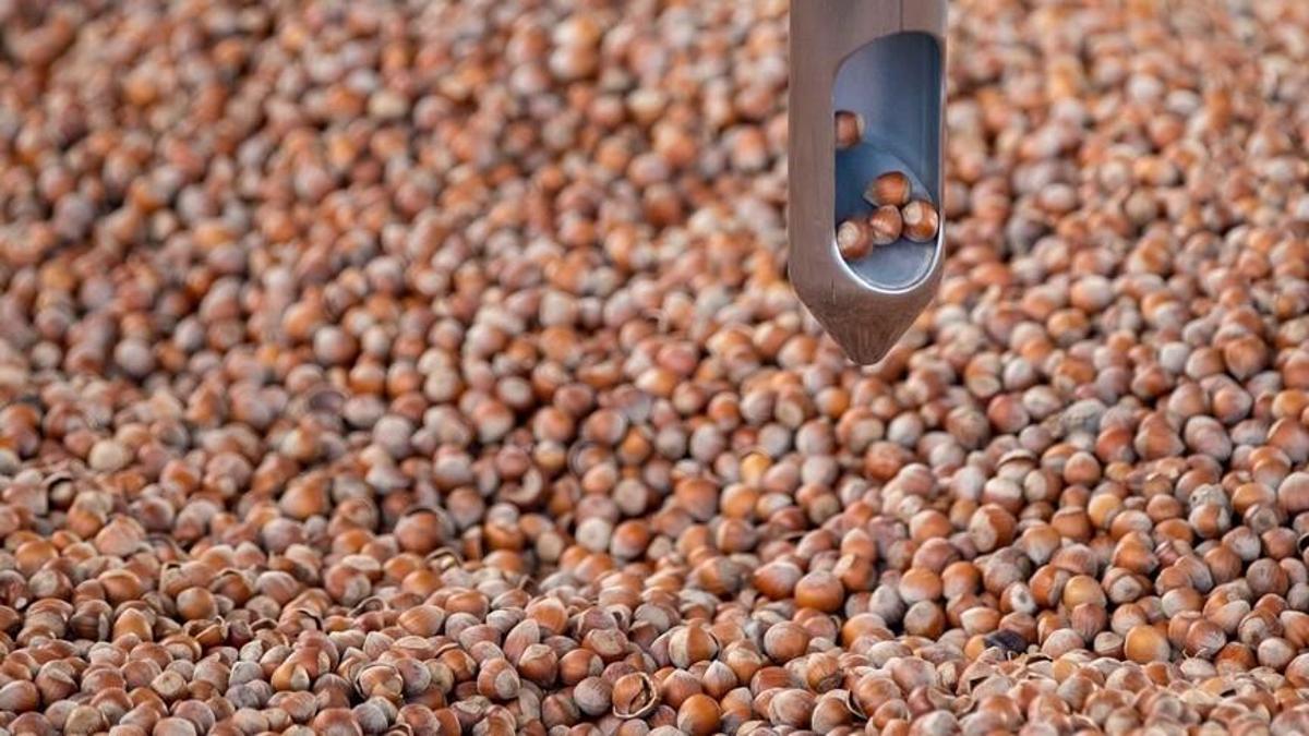 Ticaret borsalarında 9 ayda 314 bin tonun üzerinde