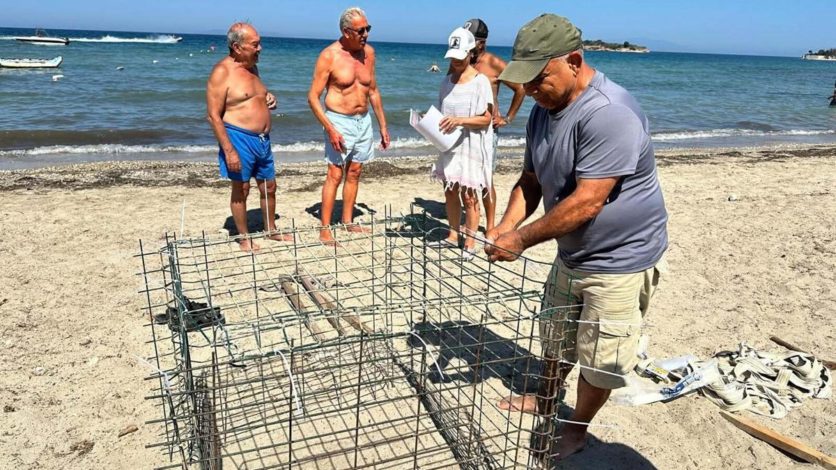 Aydın’da ikinci caretta caretta yuvası da Didim’de tespit edildi