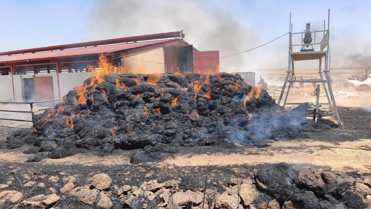 Mardin’de saman balyaları yandı