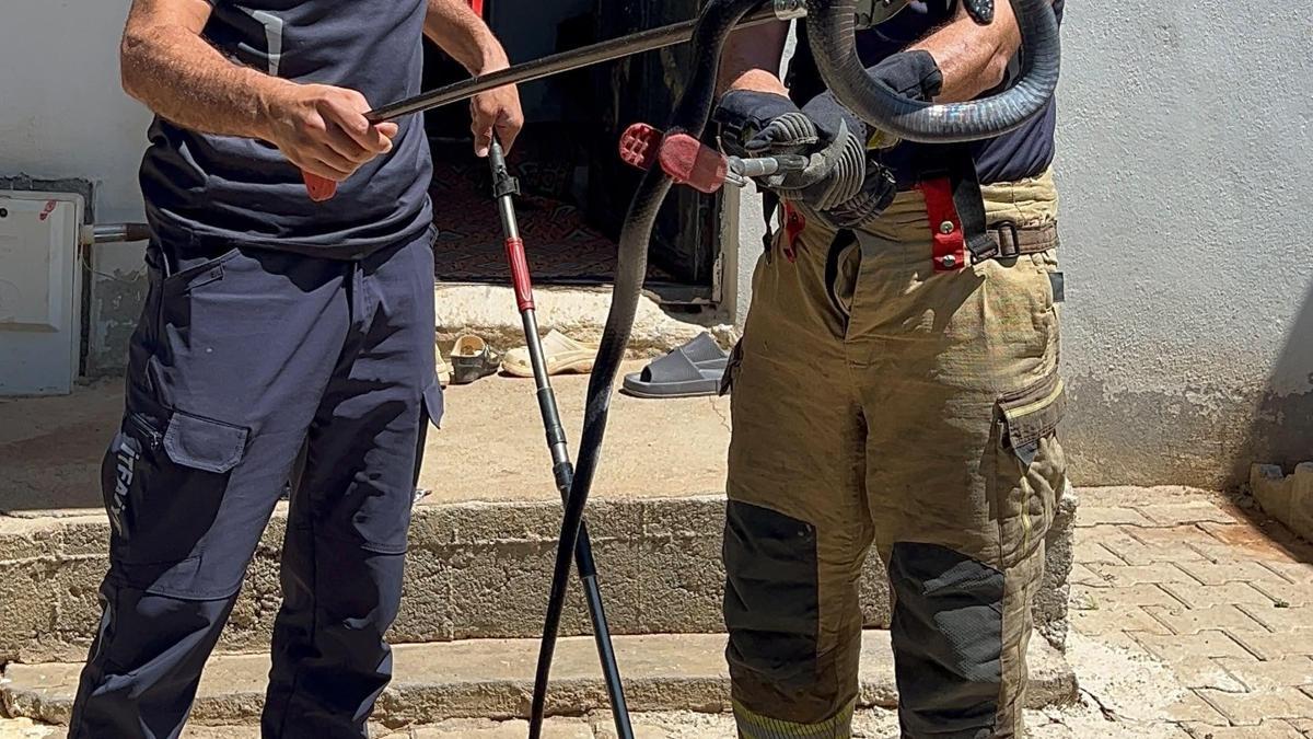 Evin lavabosuna giren yılanı ekipler çıkardı