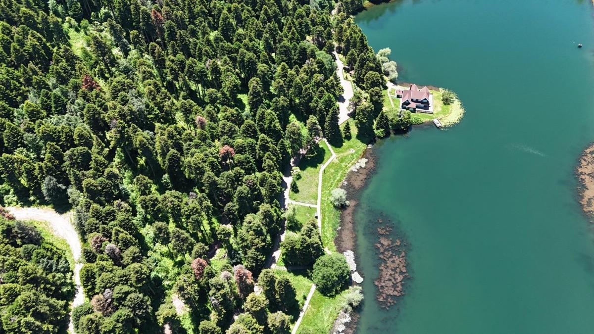 Gölcük’te çam ormanları dronla görüntülendi