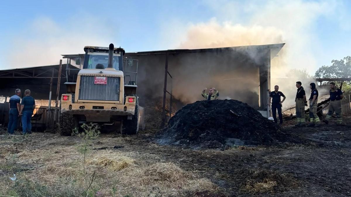 Bursa'da çiftlik yangınında 4 büyükbaş hayvan öldü