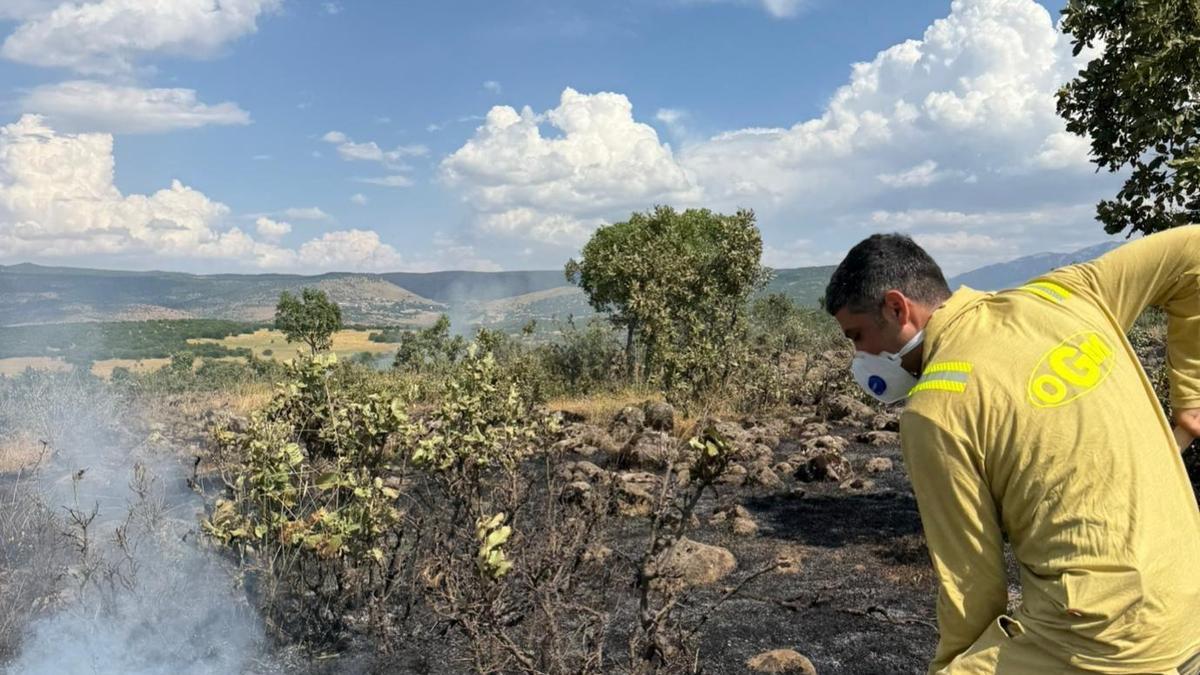 Bingöl’de çıkan örtü yangını söndürüldü