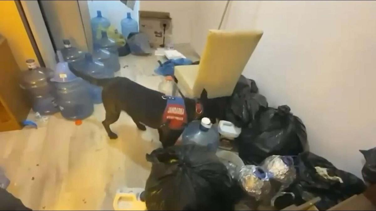 Aydın'da 5 ilçede uyuşturucu operasyonu: 4 tutuklama