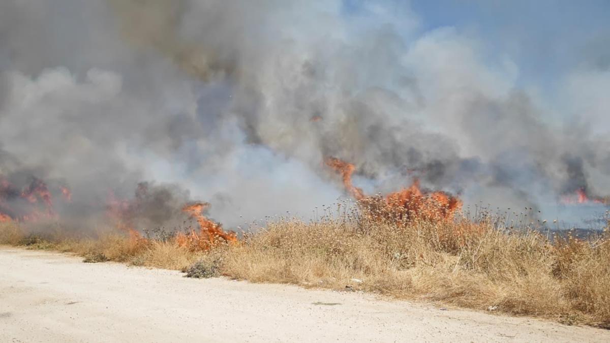 Nusaybin'de anız yangını söndürüldü