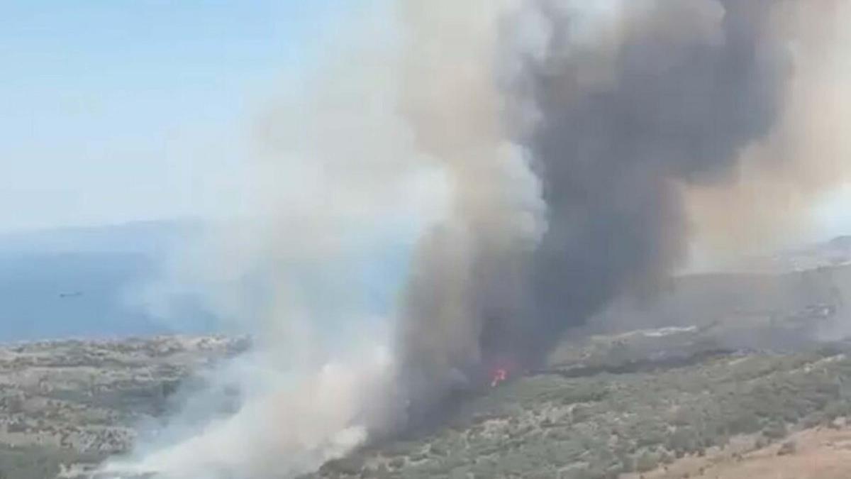 İzmir'de maki yangını