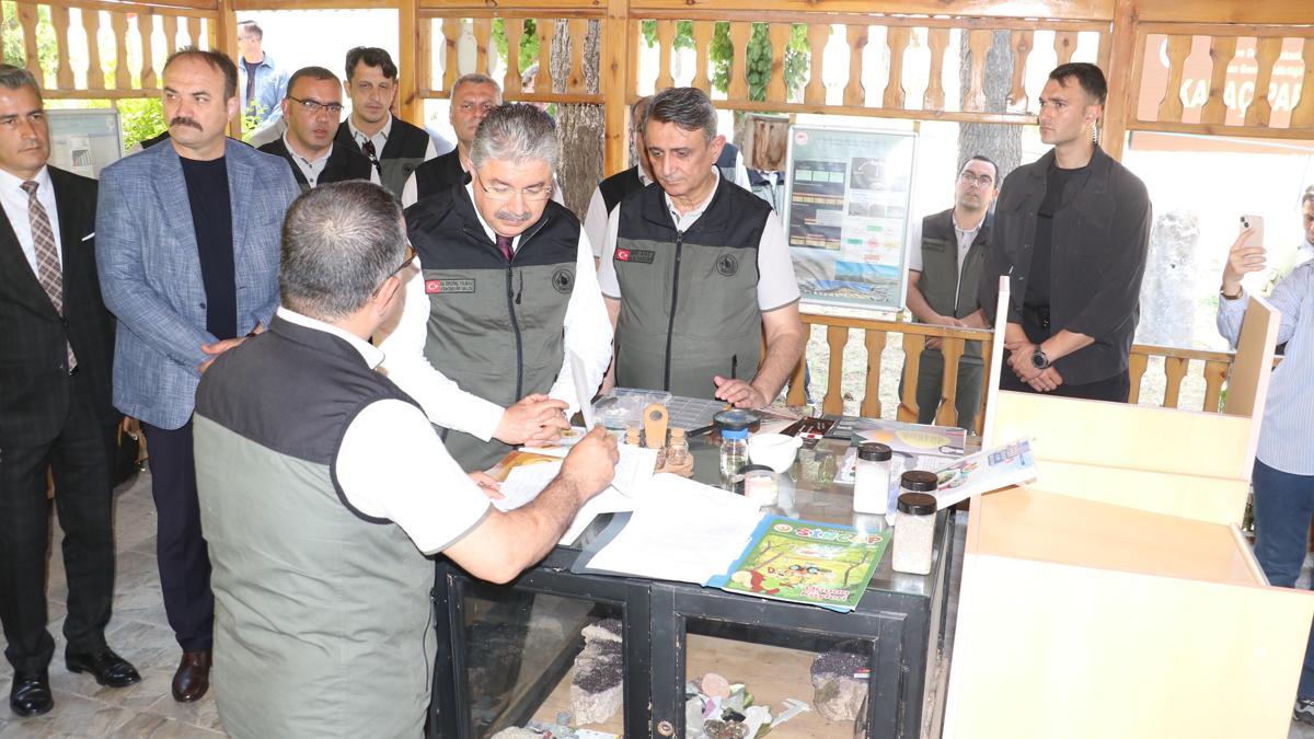 Bursa’da yanan ormanlar, Eskişehir’de üretilen fidanlarla yeşillenecek