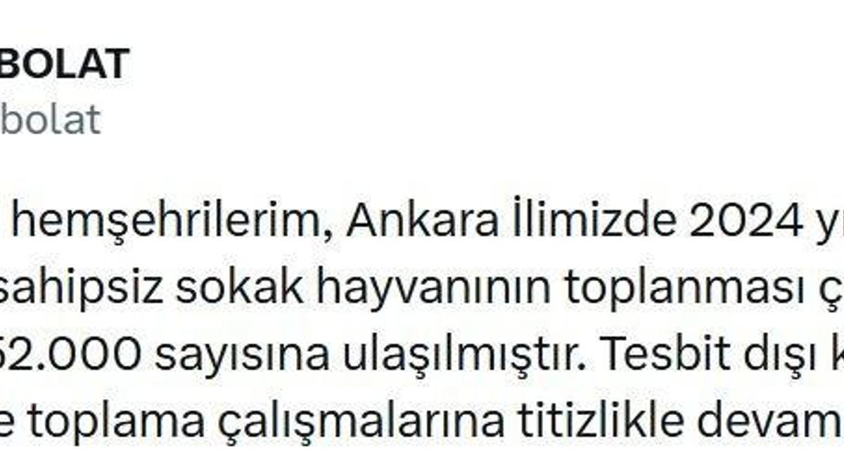 Ankara'da 52 bin sahipsiz sokak hayvanı toplandı