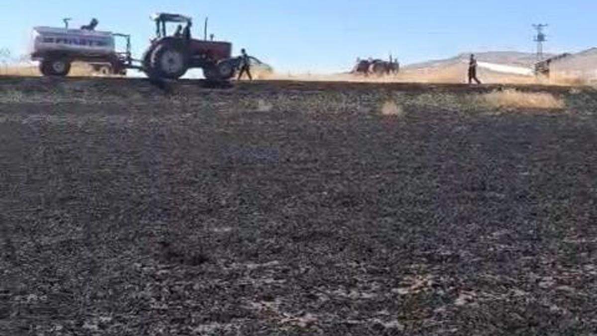 Diyarbakır’da 100 dönüm ekili buğday yandı