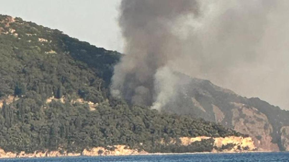 Son dakika haberi: Viranbağ Plajı’nda yangın! Ekipler sevk edildi