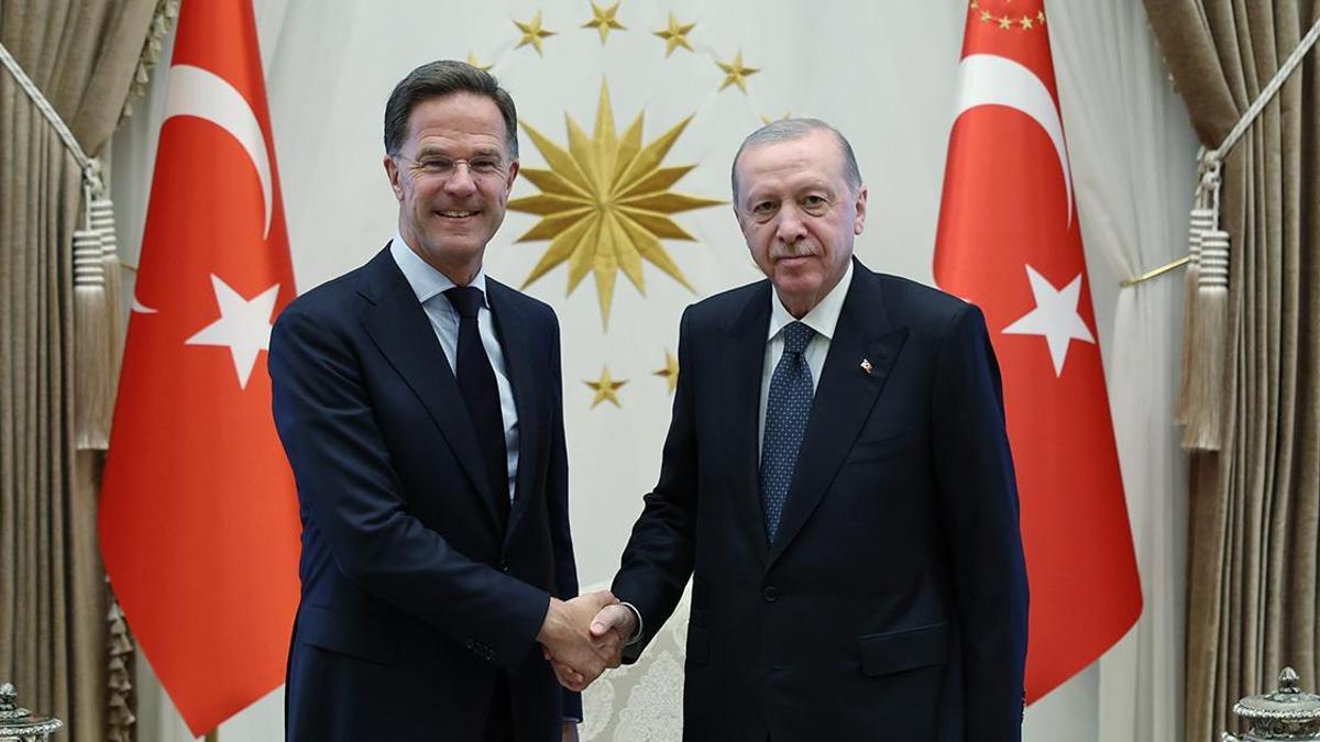 Cumhurbaşkanı Erdoğan, NATO Genel Sekreteri Rutte'yi kabul etti haber görseli