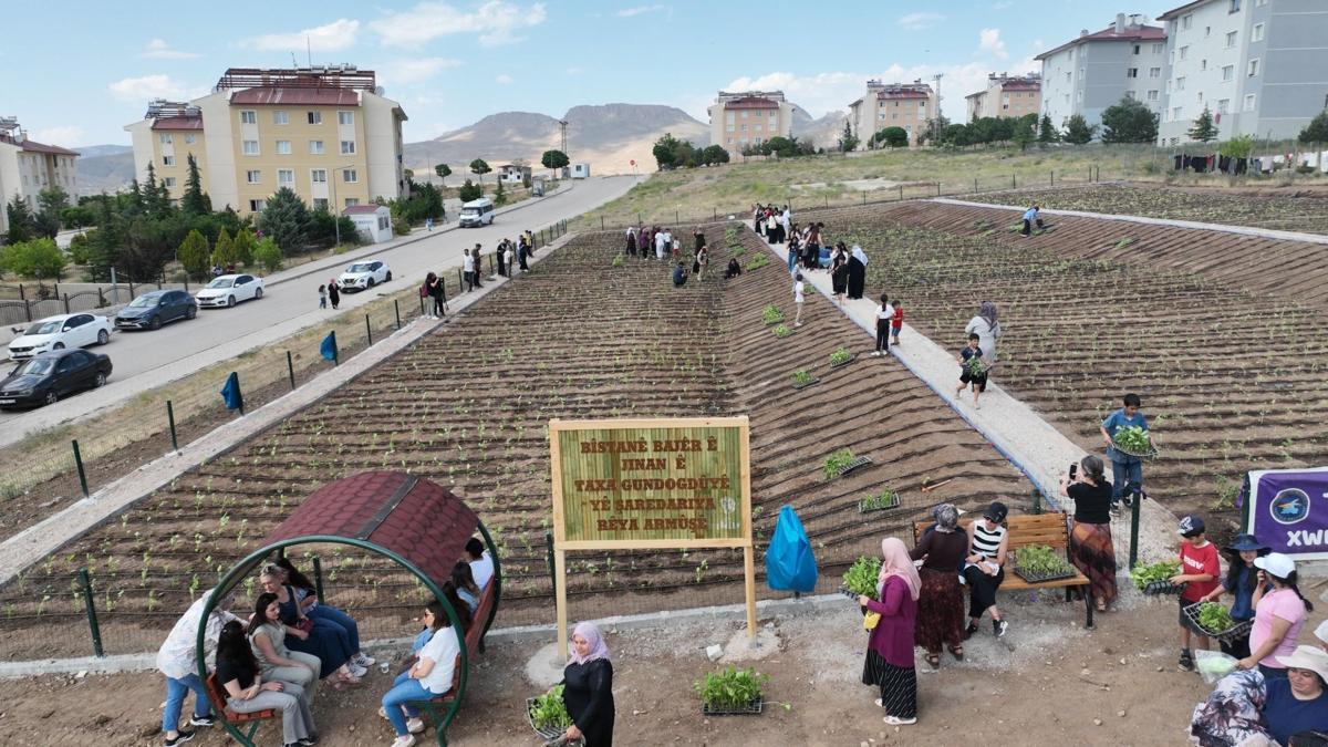 Vanlı kadınlar belediye bostanında sebze yetiştiriyor