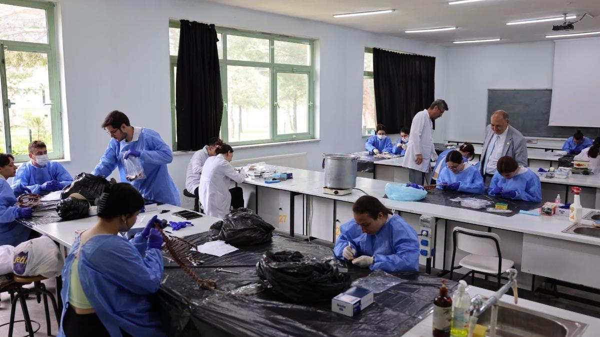 Trakya Üniversitesi Doğa Tarihi Müzesi'ne bilimsel katkı haber görseli