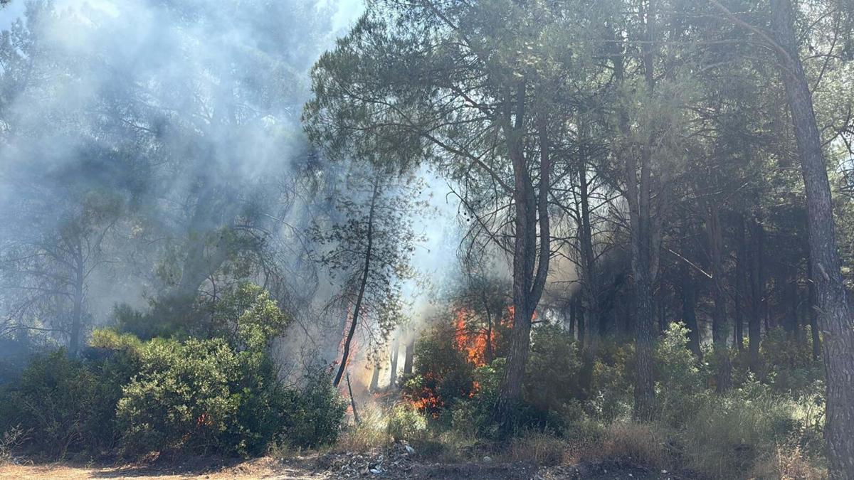 İzmir Buca'da çıkan orman yangınının ardından tutuklanan şüpheliyi gösteren görseller.